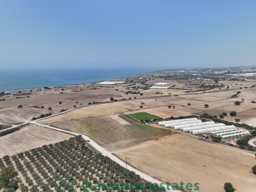 (For Sale) Land Agricultural Land  || Larnaka/Agios Theodoros Skarinou - 9.000 Sq.m, 270.000€ 