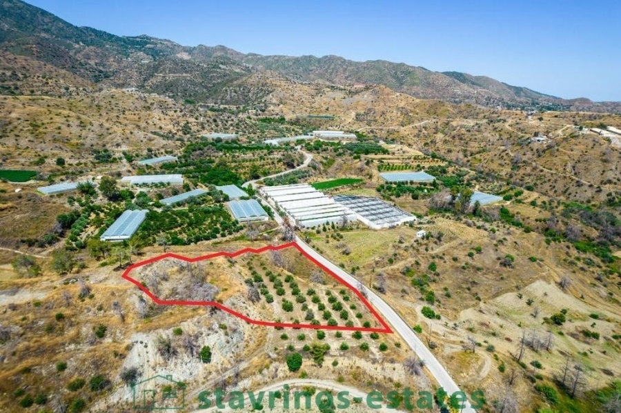 (For Sale) Land Agricultural Land  || Larnaka/Melini - 5.445 Sq.m, 32.000€ 