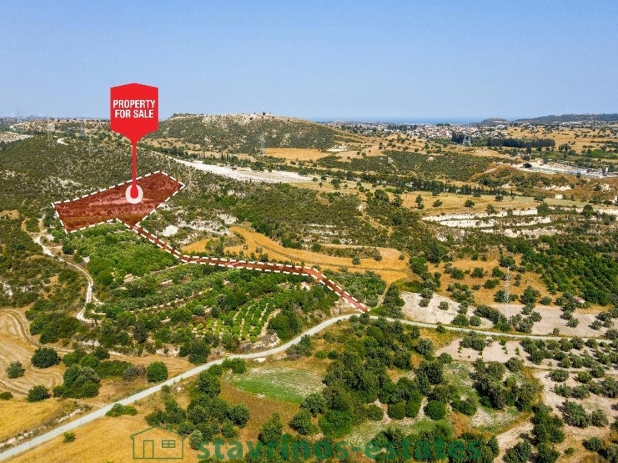 (For Sale) Land Agricultural Land  || Larnaka/Skarinou - 9.763 Sq.m, 18.000€ 