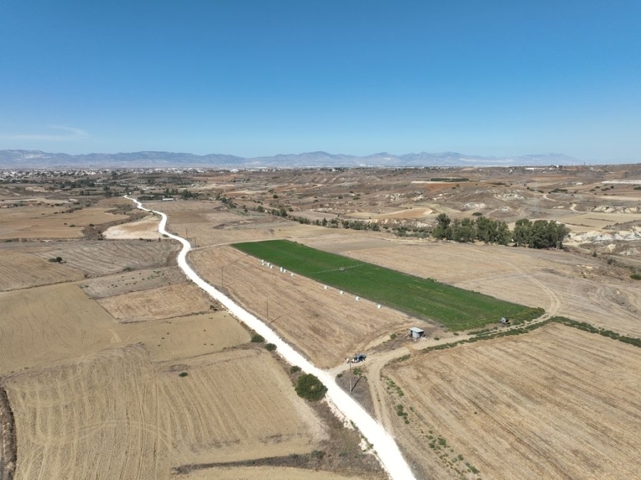 (For Sale) Land Agricultural Land  || Nicosia/Agioi Trimithias - 4.484 Sq.m, 40.000€ 