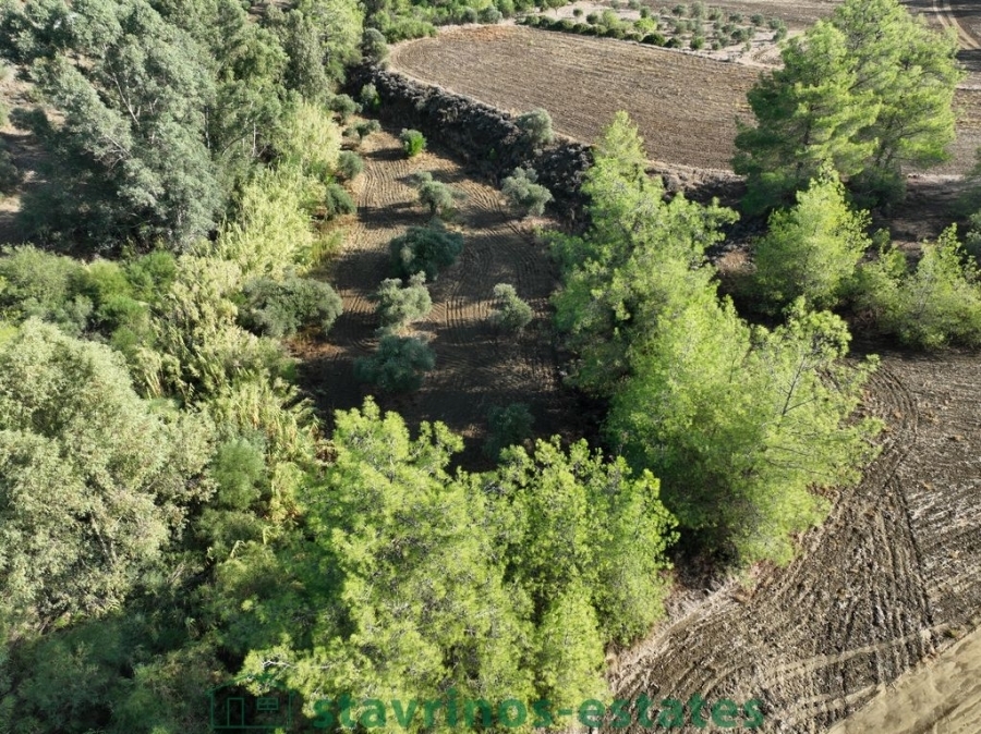 (For Sale) Land Agricultural Land  || Nicosia/Sia - 2.676 Sq.m, 35.000€ 