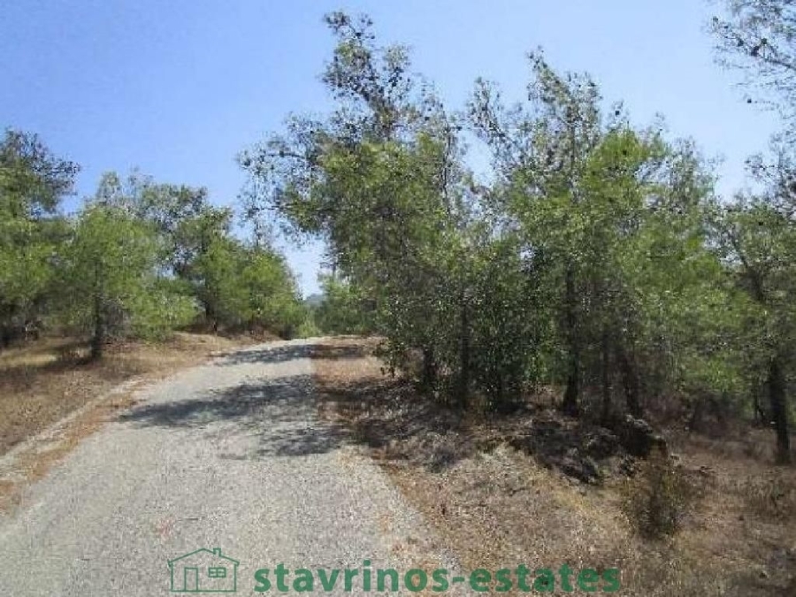 (For Sale) Land Agricultural Land  || Nicosia/Mitsero - 7.860 Sq.m, 24.000€ 