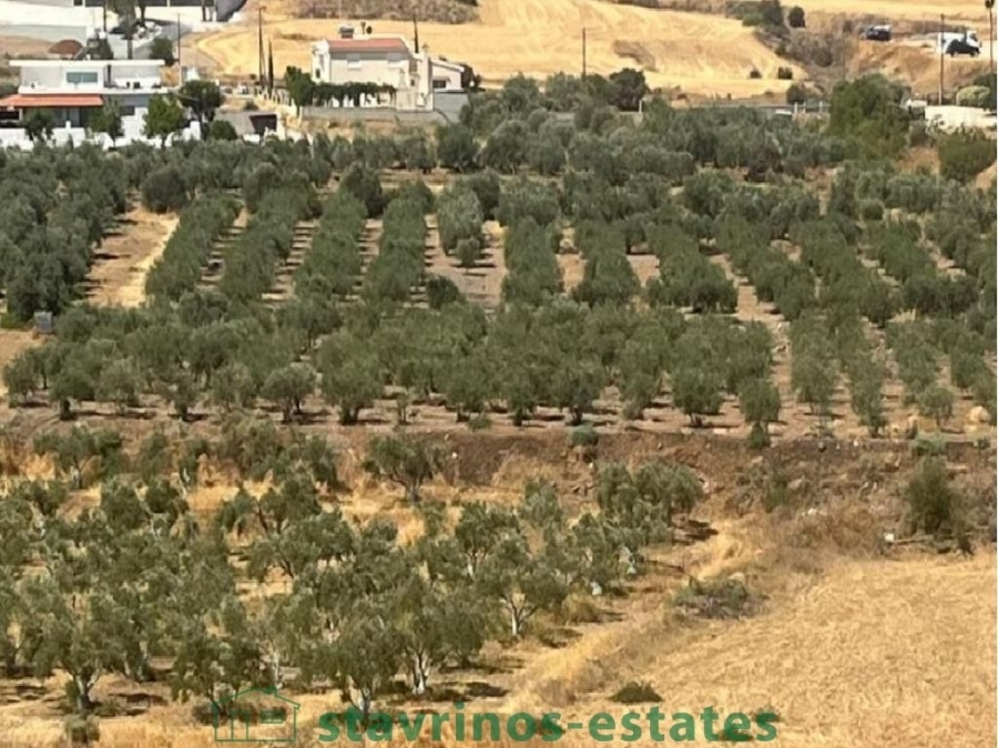 (For Sale) Land Residential || Nicosia/Potami - 5.426 Sq.m, 86.000€ 