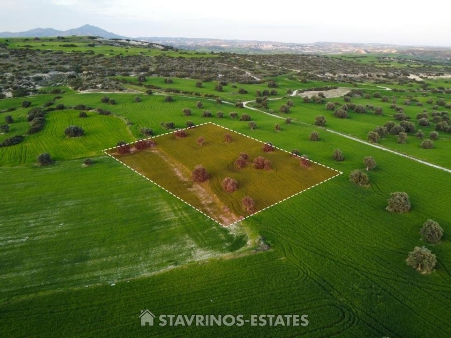 (用于出售) 建设用地 房产 || Larnaca/Agios Theodoros Skarinou - 5.352 平方米, 45.000€ 