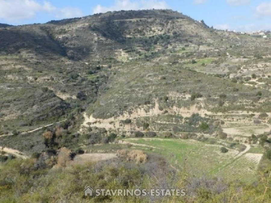 (For Sale) Land Agricultural Land  || Limassol/Dora - 6.355 Sq.m, 12.000€ 