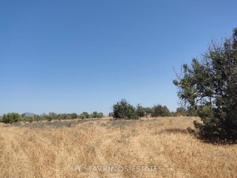 (For Sale) Land Residential || Larnaca/Mazotos - 2.676 Sq.m, 38.000€ 