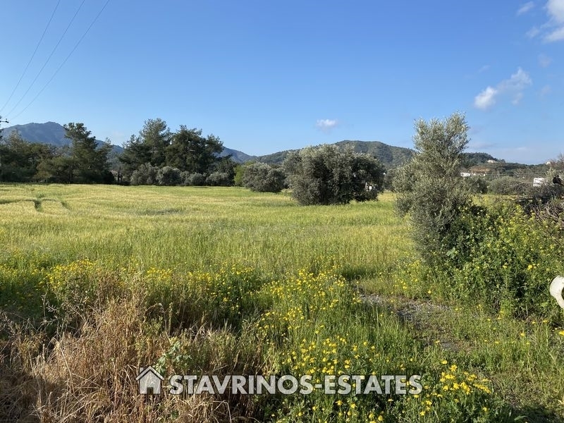 (For Sale) Land Agricultural Estate || Larnaka/Pyrga - 11.205 Sq.m, 580.000€ 