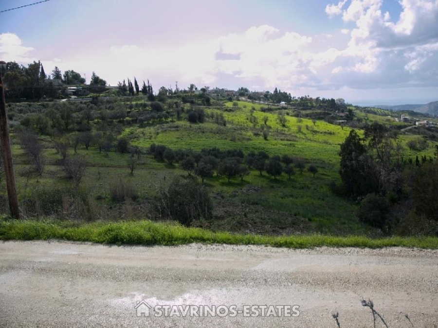 (Προς Πώληση) Αξιοποιήσιμη Γη Κτήμα || Πάφος/Χολέτρια - 9.100 τ.μ, 175.000€ 