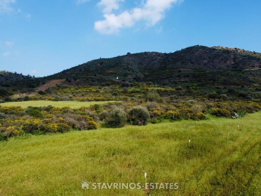 (For Sale) Land Agricultural Land  || Larnaca/Mosfiloti - 7.693 Sq.m, 60.000€ 