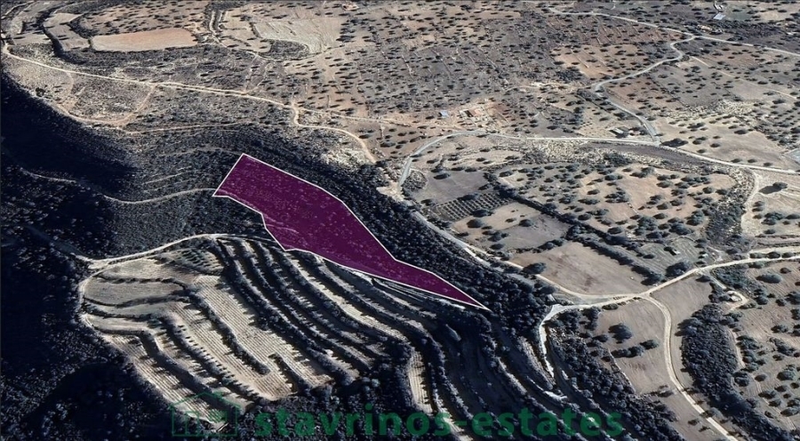 (For Sale) Land Agricultural Land  || Limassol/Anogyra - 20.068 Sq.m, 15.000€ 