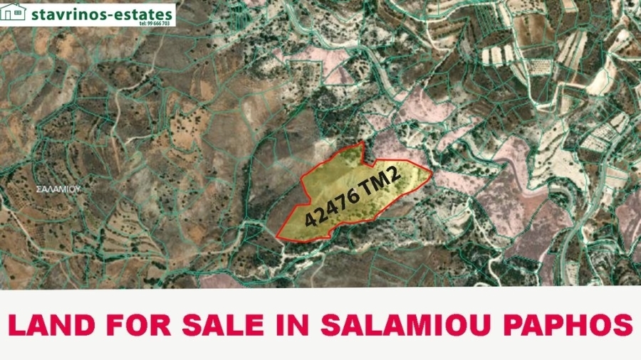 (Προς Πώληση) Αξιοποιήσιμη Γη Αγροτεμάχιο || Πάφος/Σαλαμιού - 42.476 τ.μ, 11.000€ 