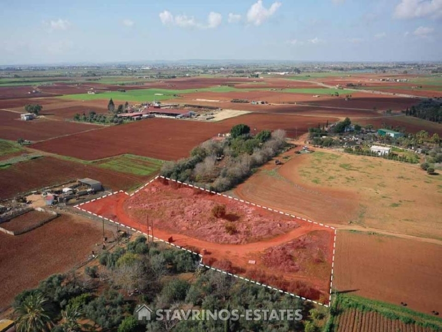 (For Sale) Land Agricultural Land  || Ammochostos/Avgorou - 4.346 Sq.m, 22.000€ 