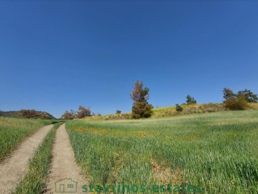 (用于出售) 建设用地 地块 || Nicosia/Lythrodontas - 13.713 平方米, 35.000€ 