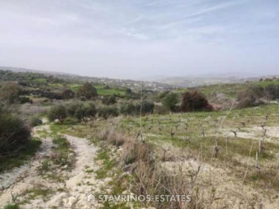 (For Sale) Land Agricultural Land  || Pafos/Stroumpi Kato - 8.362 Sq.m, 45.000€ 