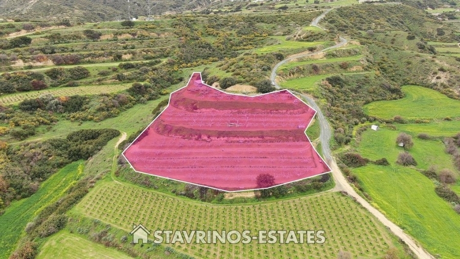 (用于出售) 建设用地 地块 || Limassol/Pissouri - 8.027 平方米, 65.000€ 
