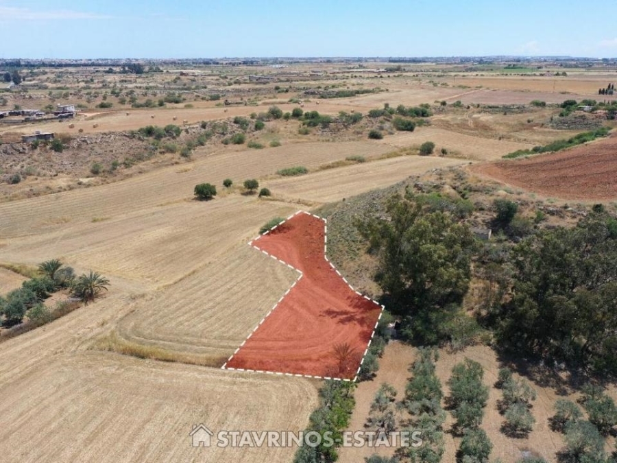(Προς Πώληση) Αξιοποιήσιμη Γη Αγροτεμάχιο || Αμμόχωστος/Αυγόρου - 1.645 τ.μ, 8.000€ 