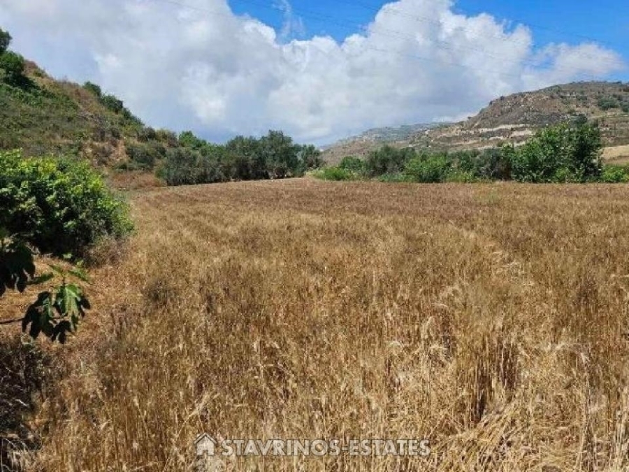 (Προς Πώληση) Αξιοποιήσιμη Γη Αγροτεμάχιο || Πάφος/Καλλέπεια - 4.014 τ.μ, 15.000€ 