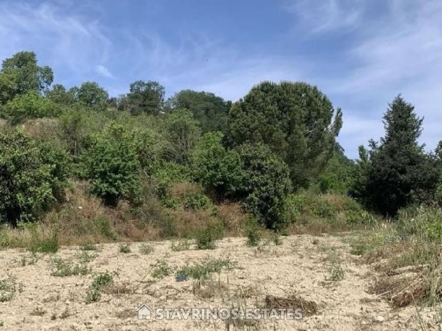 (Προς Πώληση) Αξιοποιήσιμη Γη Αγροτεμάχιο || Πάφος/Καλλέπεια - 8.027 τ.μ, 26.000€ 