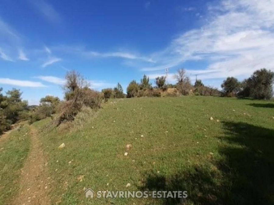 (Προς Πώληση) Αξιοποιήσιμη Γη Αγροτεμάχιο || Λάρνακα/Λεύκαρα Πάνω - 30.770 τ.μ, 18.000€ 