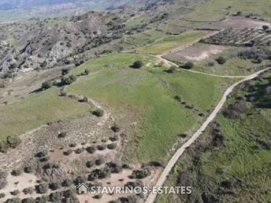 (For Sale) Land Agricultural Land  || Pafos/Statos - 6.021 Sq.m, 12.000€ 