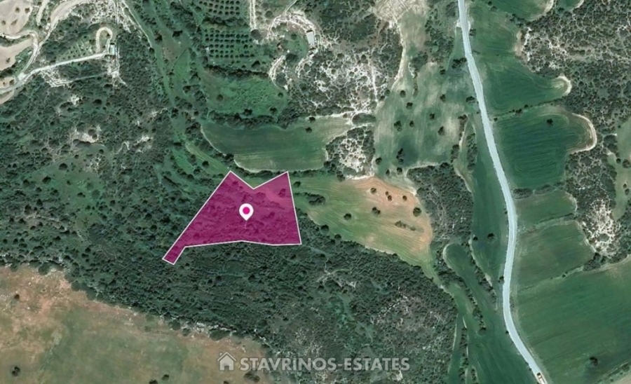 (For Sale) Land Agricultural Land  || Larnaca/Agios Theodoros Skarinou - 6.689 Sq.m, 7.000€ 