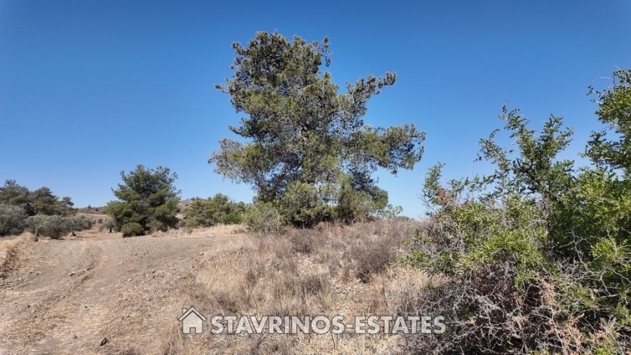 (用于出售) 建设用地 地块 || Nicosia/Sia - 11.000 平方米, 90.000€ 