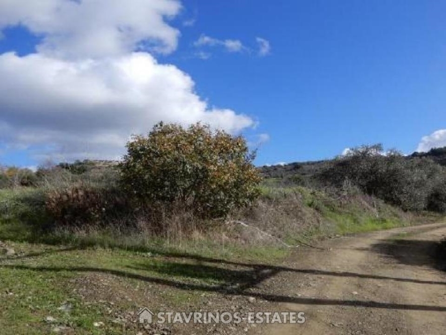 (For Sale) Land Agricultural Land  || Pafos/Meladia - 28.763 Sq.m, 110.000€ 