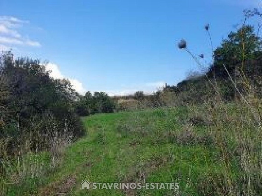 (For Sale) Land Agricultural Land  || Pafos/Kallepeia - 1.115 Sq.m, 4.000€ 