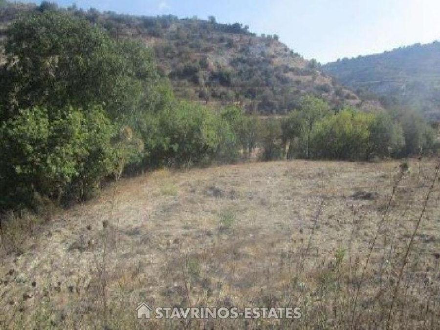 (For Sale) Land Agricultural Land  || Pafos/Kallepeia - 2.676 Sq.m, 9.000€ 