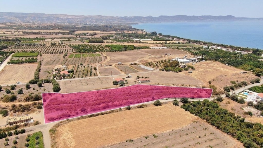 (Προς Πώληση) Αξιοποιήσιμη Γη Αγροτεμάχιο || Πάφος/Αργάκα - 5.519 τ.μ, 75.000€ 
