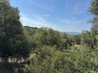 (Προς Πώληση) Αξιοποιήσιμη Γη Αγροτεμάχιο || Πάφος/Πολέμι - 5.000 τ.μ, 24.800€ 