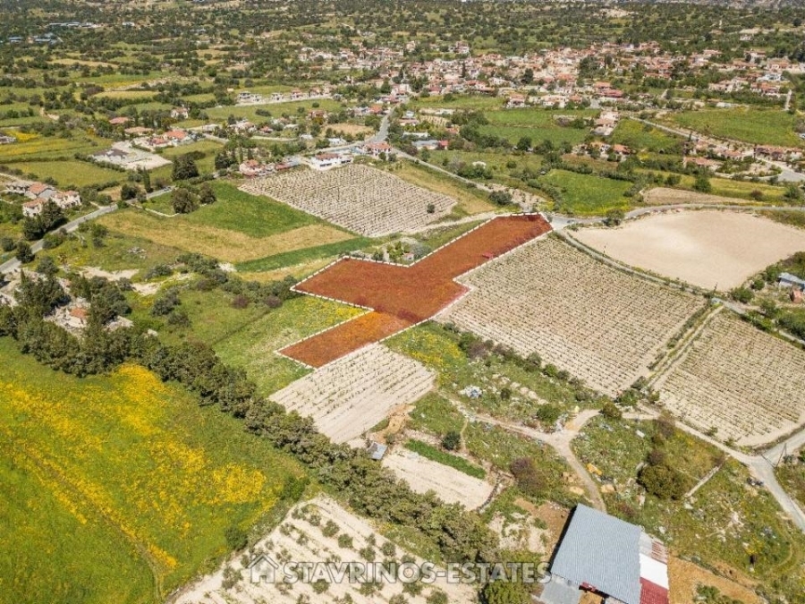 (用于出售) 建设用地 房产 || Limassol/Anogyra - 5.494 平方米, 70.000€ 