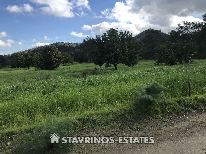 (Προς Πώληση) Αξιοποιήσιμη Γη Αγροτεμάχιο || Λάρνακα/Κόρνος - 10.700 τ.μ, 145.000€ 