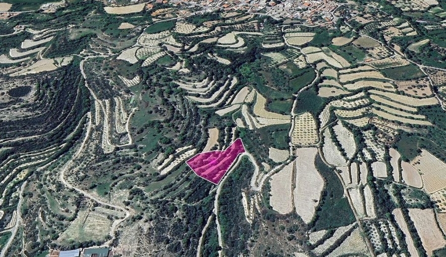 (Προς Πώληση) Αξιοποιήσιμη Γη Αγροτεμάχιο || Πάφος/Κοίλη - 4.785 τ.μ, 15.000€ 