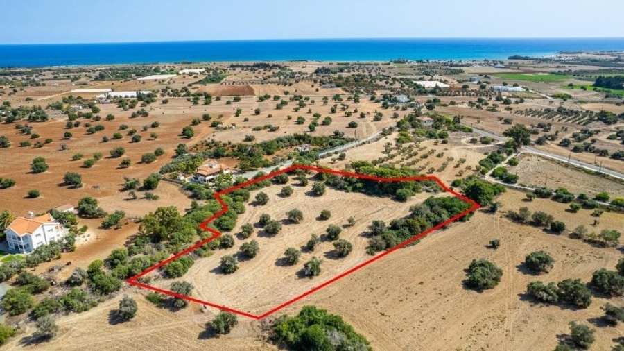 (For Sale) Land Residential || Larnaca/Mazotos - 11.037 Sq.m, 247.500€ 