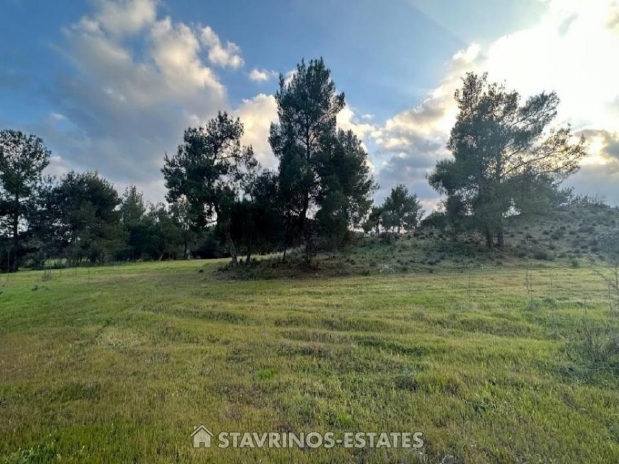(Προς Πώληση) Αξιοποιήσιμη Γη Κτήμα || Λευκωσία/Λυθροδόντας - 11.028 τ.μ, 152.000€ 