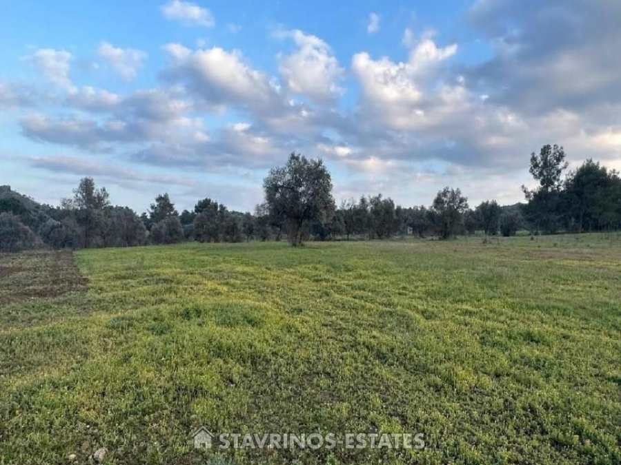 (Προς Πώληση) Αξιοποιήσιμη Γη Κτήμα || Λευκωσία/Λυθροδόντας - 4.014 τ.μ, 66.000€ 