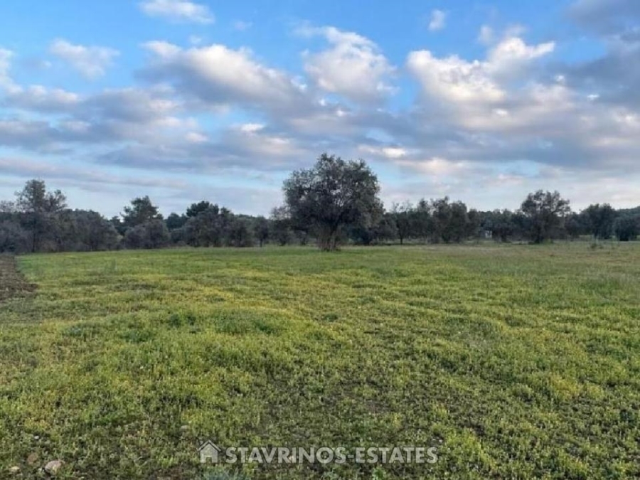 (Προς Πώληση) Αξιοποιήσιμη Γη Κτήμα || Λευκωσία/Λυθροδόντας - 3.011 τ.μ, 50.000€ 