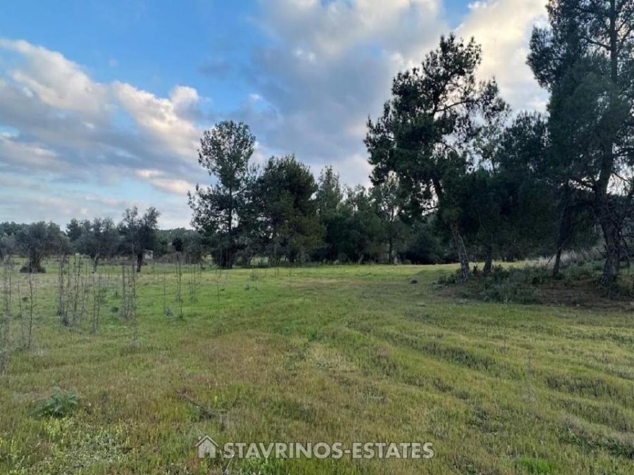 (Προς Πώληση) Αξιοποιήσιμη Γη Κτήμα || Λευκωσία/Λυθροδόντας - 4.831 τ.μ, 48.000€ 