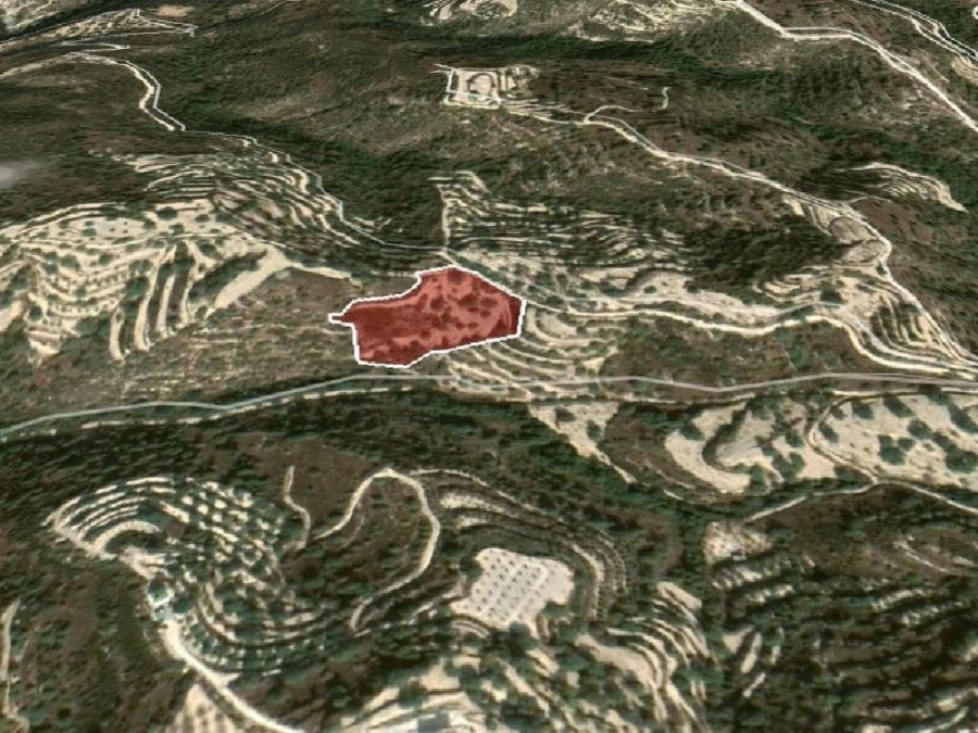 (Προς Πώληση) Αξιοποιήσιμη Γη Αγροτεμάχιο || Πάφος/Κοίλη - 8.027 τ.μ, 110.000€ 