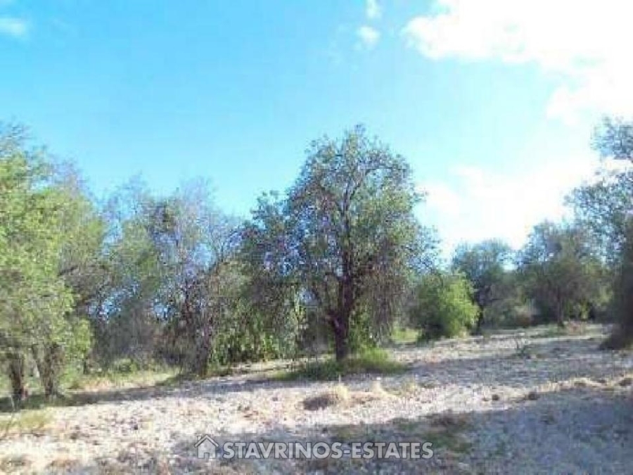 (Προς Πώληση) Αξιοποιήσιμη Γη Κτήμα || Πάφος/Δρίνια - 1.120 τ.μ, 32.000€ 