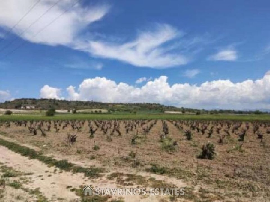(Προς Πώληση) Αξιοποιήσιμη Γη Αγροτεμάχιο || Πάφος/Πολέμι - 2.713 τ.μ, 27.000€ 