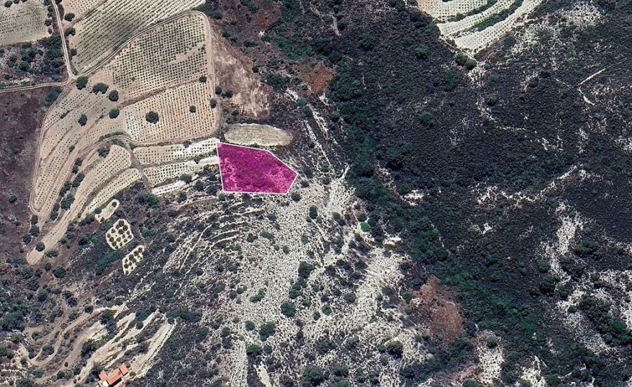 (Προς Πώληση) Αξιοποιήσιμη Γη Κτήμα || Λεμεσός/Άγιος Μάμας - 2.007 τ.μ, 10.000€ 