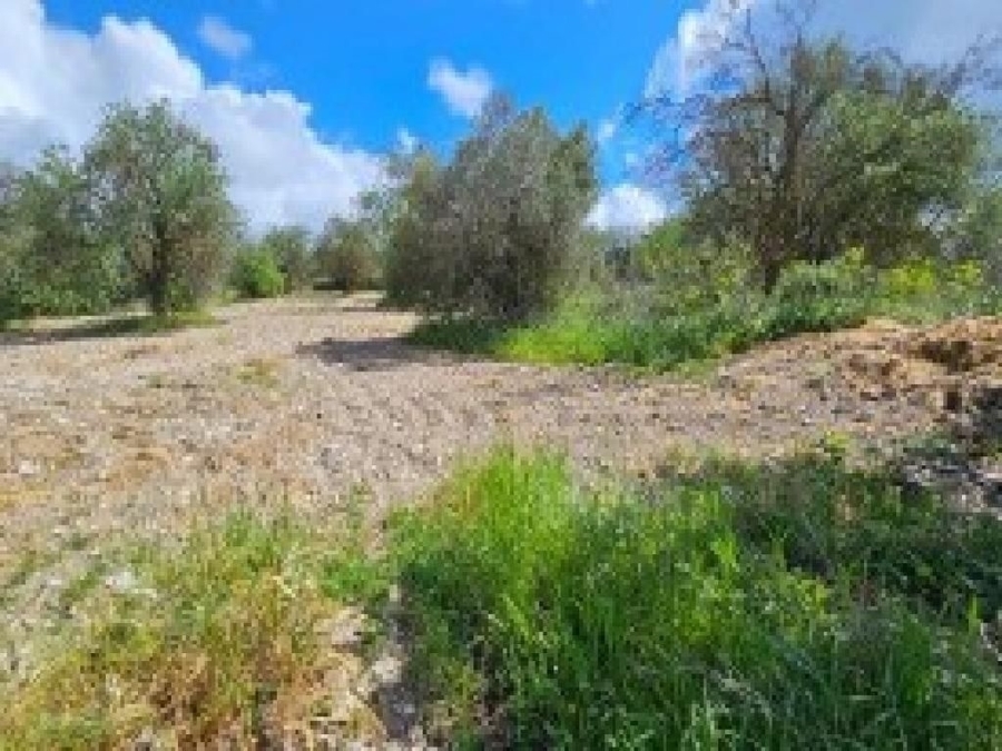 (用于出售) 建设用地 房产 || Pafos/Drinia - 2.142 平方米, 46.000€ 