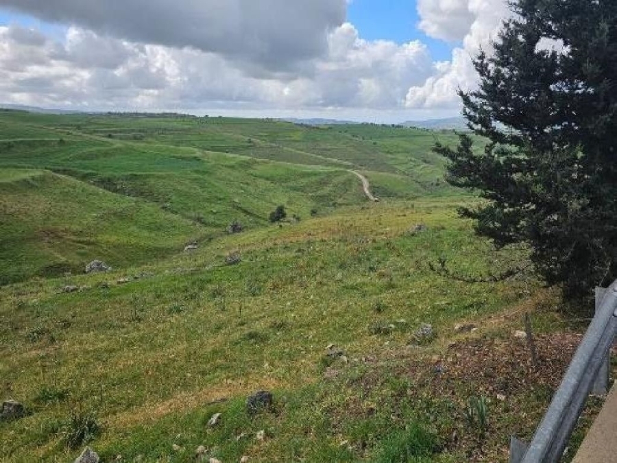 (用于出售) 建设用地 地块 || Pafos/Drinia - 7.693 平方米, 57.000€ 