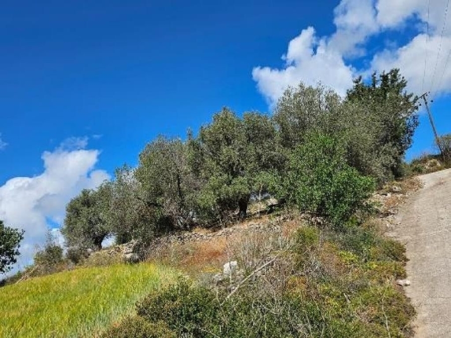 (用于出售) 建设用地 地块 || Pafos/Drinia - 16.723 平方米, 76.000€ 