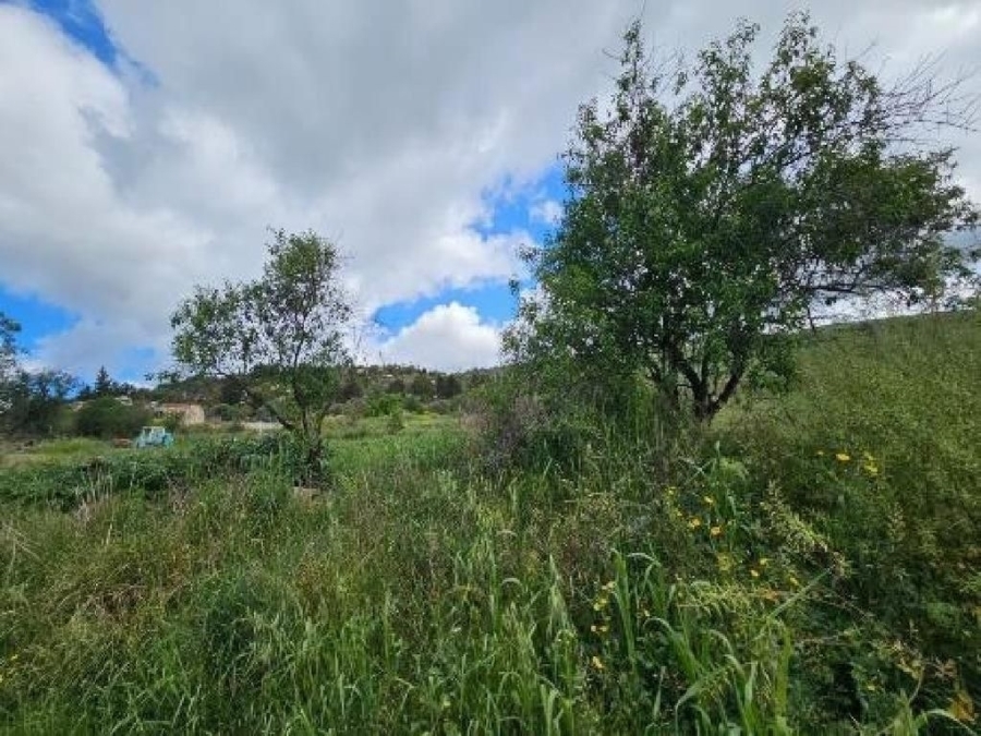 (Продажа) Земли Земельный надел || Пафос/Дриния - 1.673 кв.м, 38.000€ 