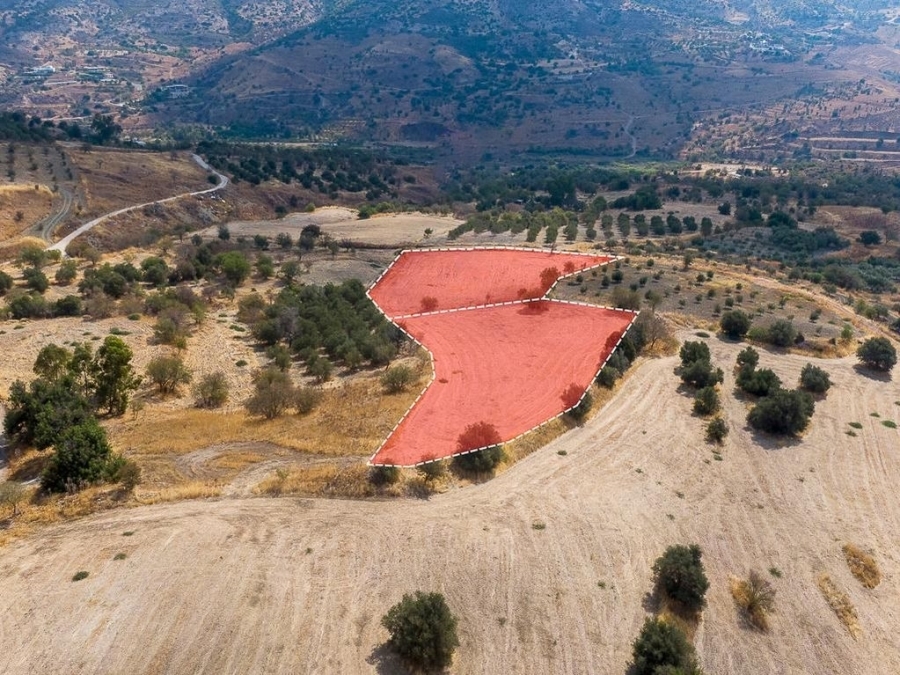 (Προς Πώληση) Αξιοποιήσιμη Γη Αγροτεμάχιο || Πάφος/Επισκοπή - 5.948 τ.μ, 30.000€ 