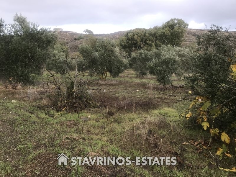 (For Sale) Land Agricultural Land  || Larnaka/Mosfiloti - 7.358 Sq.m, 70.000€ 