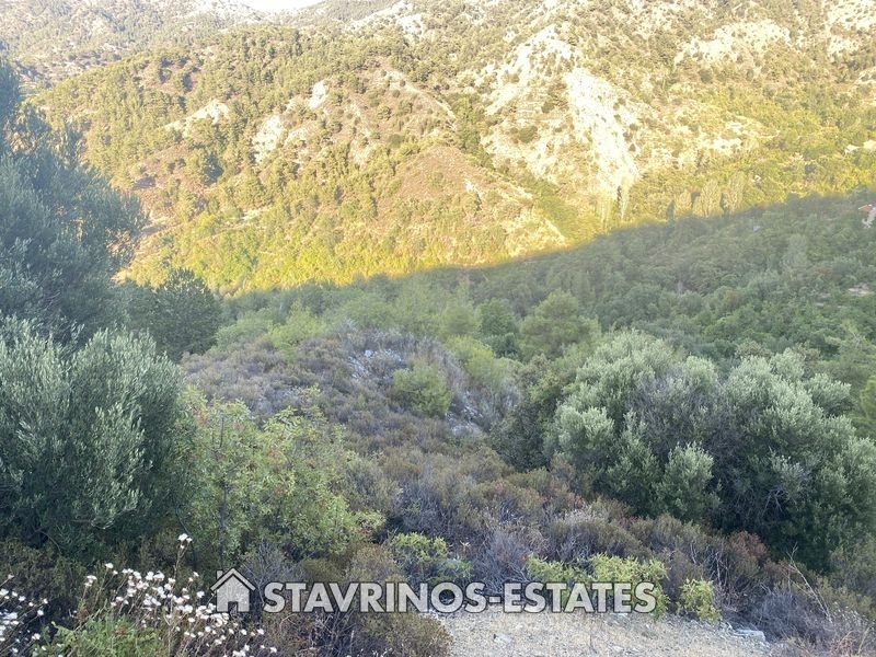 (For Sale) Land Agricultural Land  || Nicosia/Pedoulas - 2.982 Sq.m, 25.000€ 